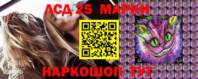 Альфа ПВП Чебоксары