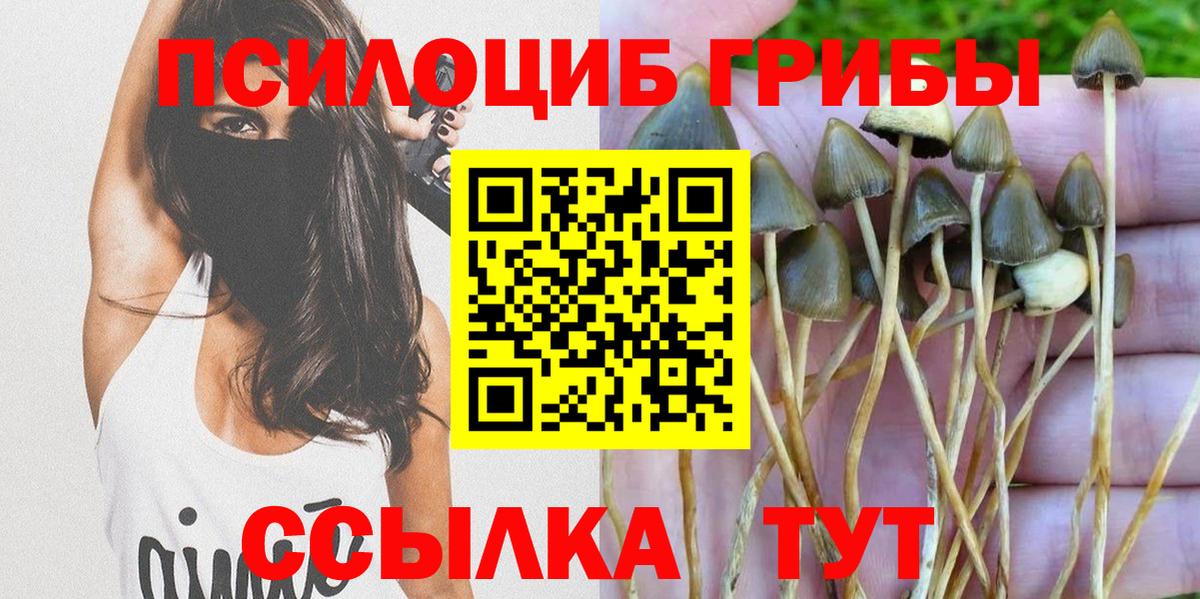 Галлюциногенные грибы Psilocybe  Псилоцибиновые грибы Psilocybe  Вход с VPN  Александров 